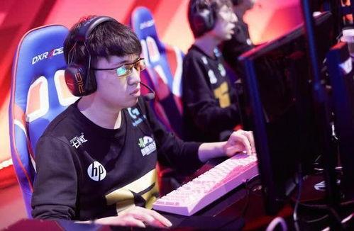 爆料小虎退役了吗视频下载,爆料小虎退役真相，视频下载揭示退役内幕